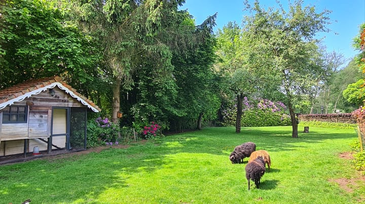 Foto 48 van Beulekampersteeg 55