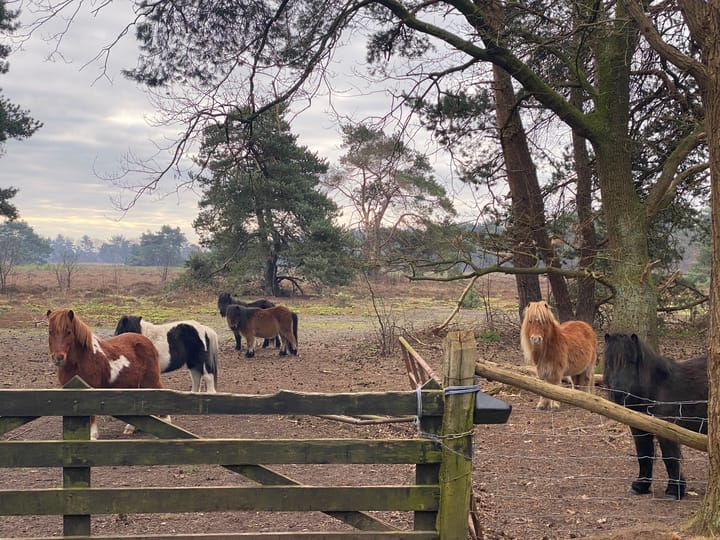 Foto 55 van Beulekampersteeg 55