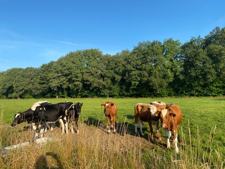 Foto 57 van Beulekampersteeg 55