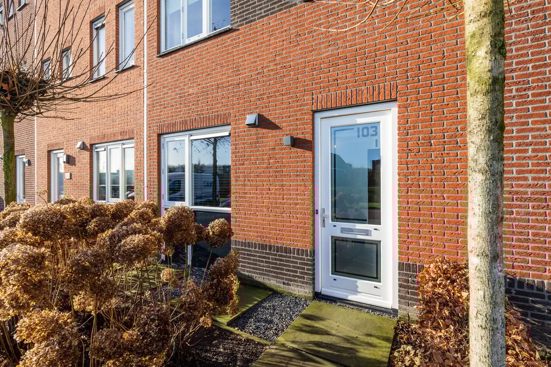 Photo 41 of Koningspage 103