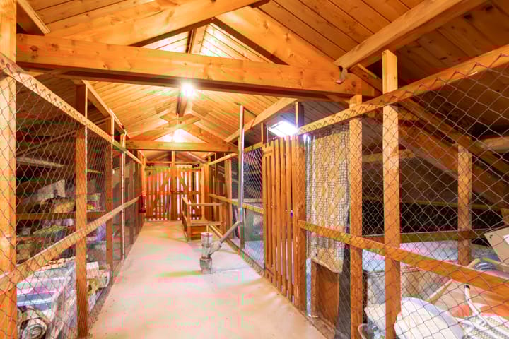 Foto 17 van Kardinaal van Rossumlaan 61