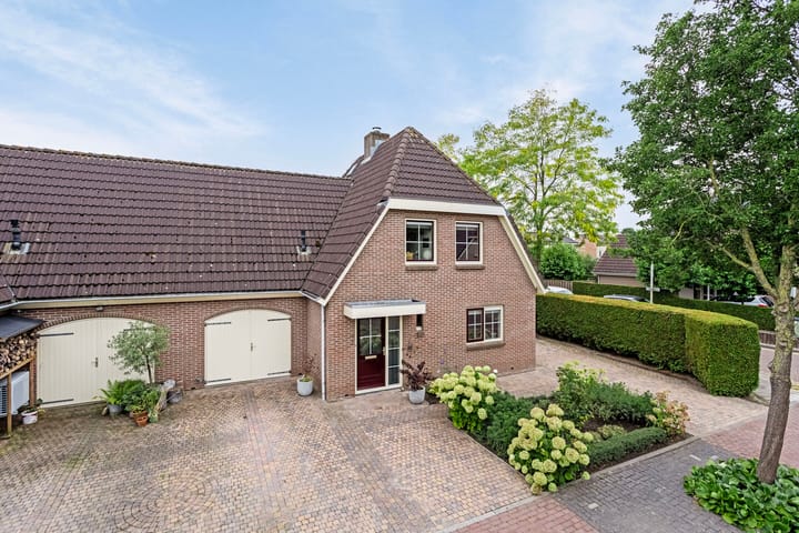 Foto 2 van Waterlelie 7