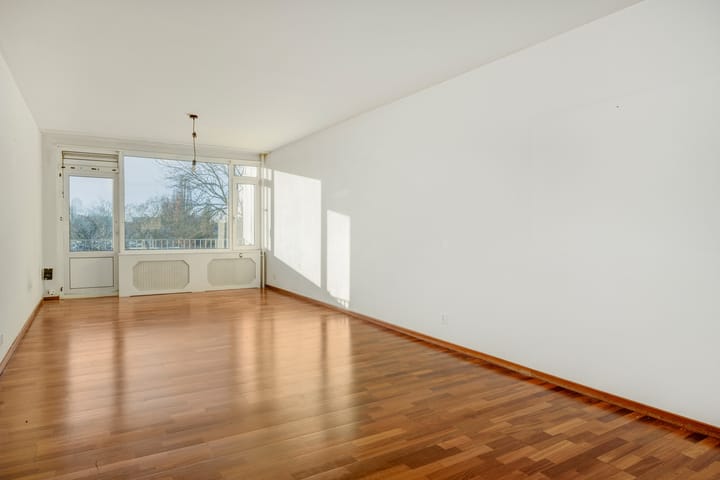 Foto 2 van Maassingel 226