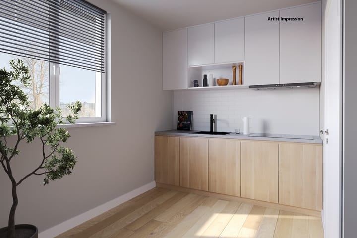 Foto 10 van Maassingel 226