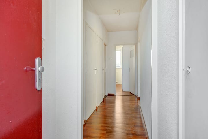 Foto 18 van Maassingel 226