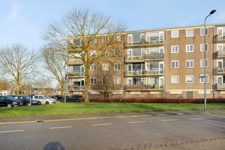 Foto 28 van Maassingel 226