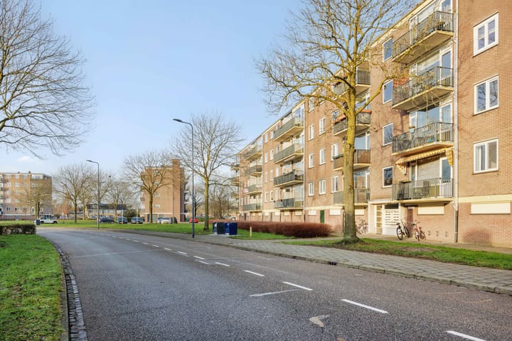 Foto 29 van Maassingel 226