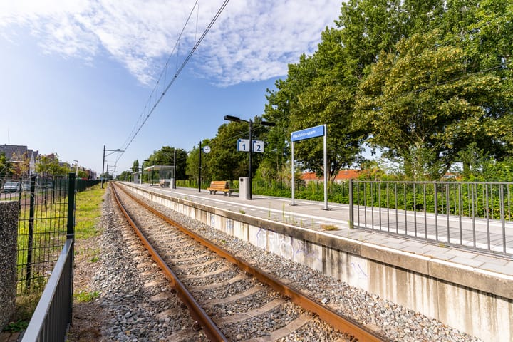 Foto 56 van Herbarenerf 15