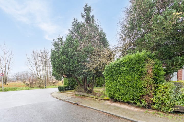 Foto 6 van Tesselschadestraat 1