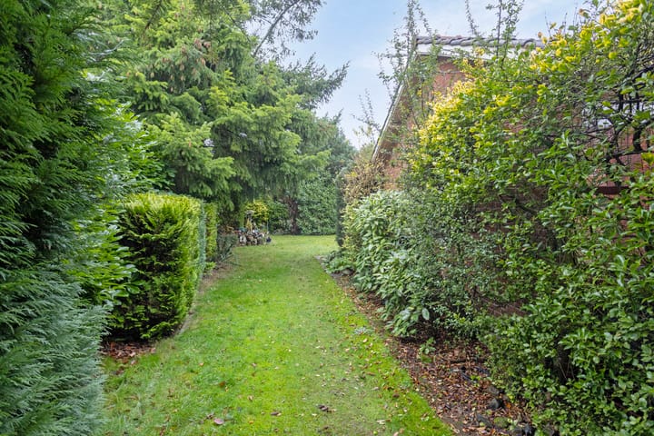 Foto 60 van Tesselschadestraat 1