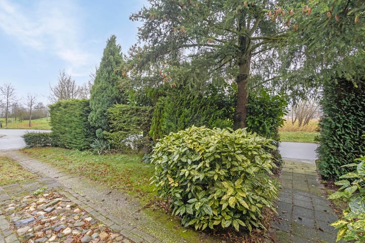 Foto 61 van Tesselschadestraat 1