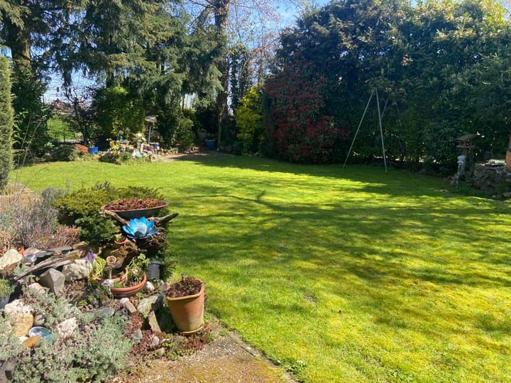 Foto 68 van Tesselschadestraat 1