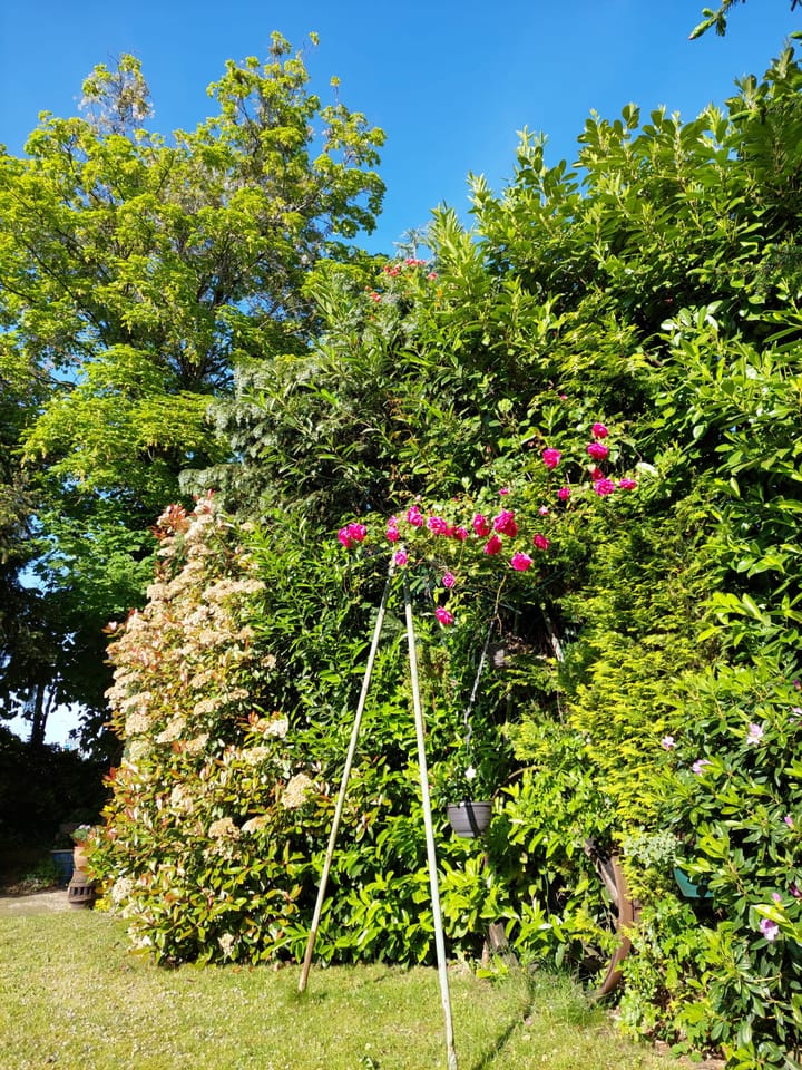 Foto 69 van Tesselschadestraat 1