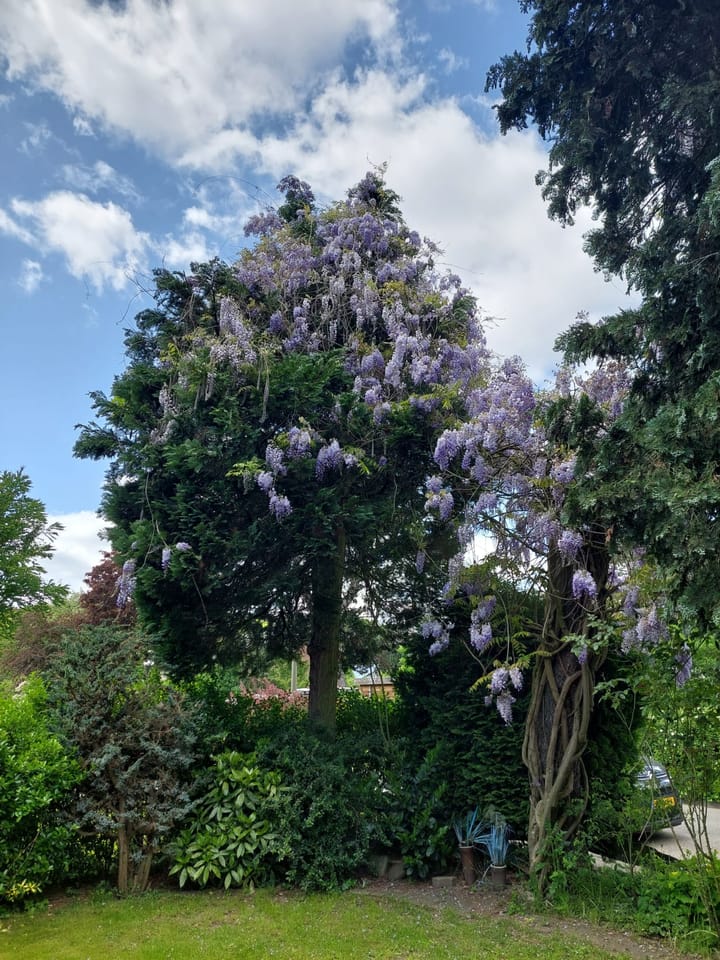 Foto 70 van Tesselschadestraat 1