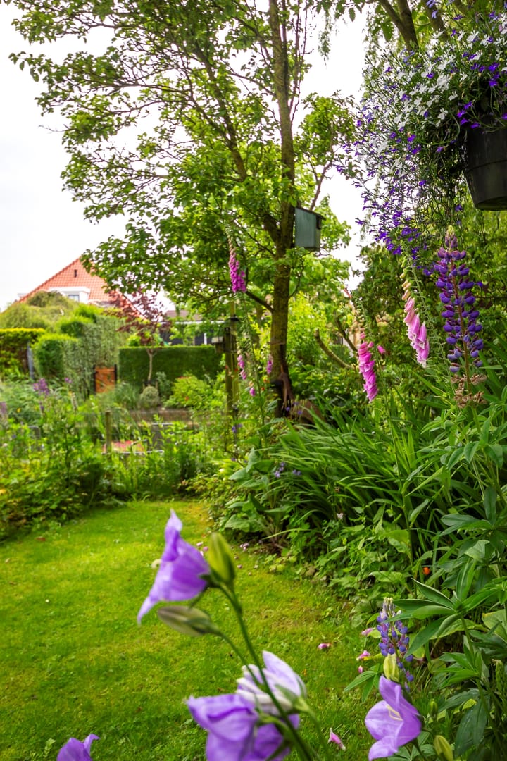 Foto 24 van Zwanenbalg 1303