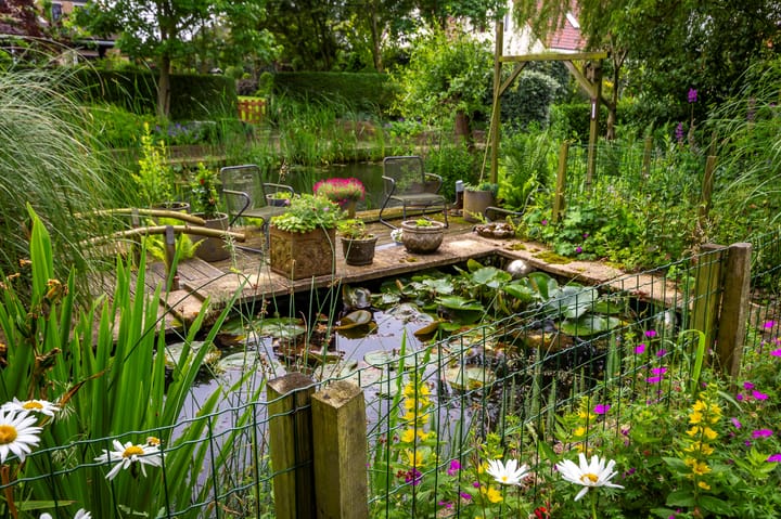 Foto 25 van Zwanenbalg 1303