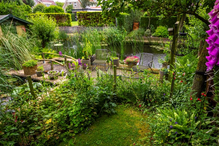 Foto 26 van Zwanenbalg 1303