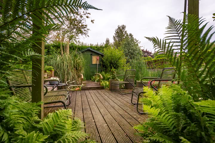 Foto 27 van Zwanenbalg 1303