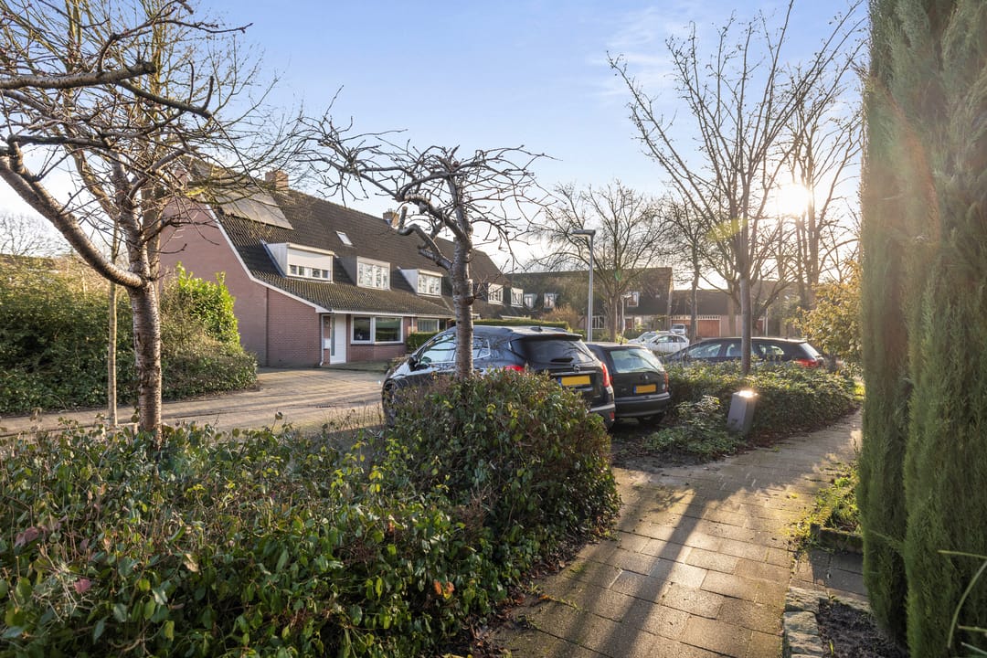 Photo 37 of Boskrekel 63