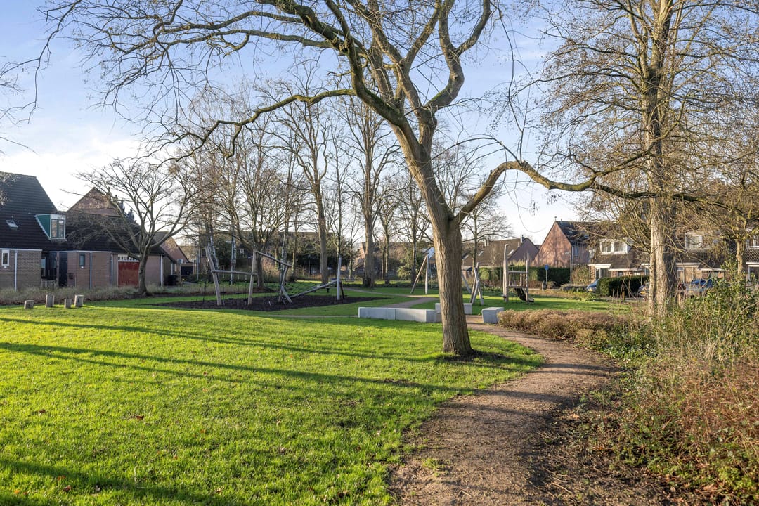 Photo 38 of Boskrekel 63