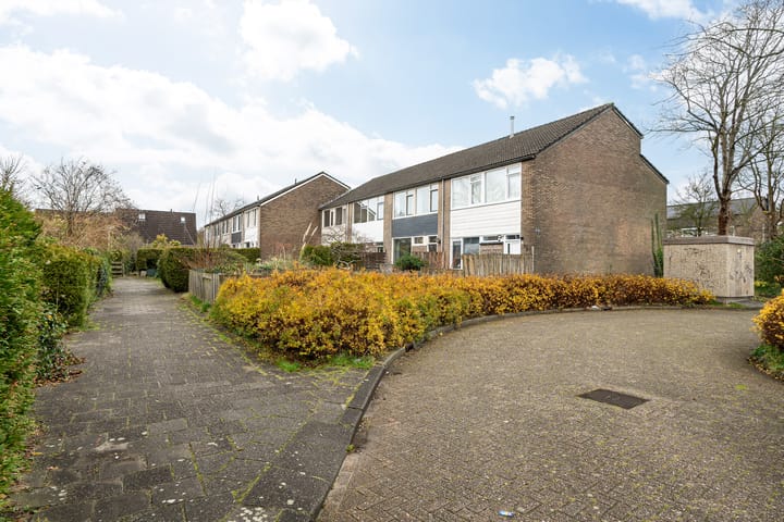 Foto 1 van Wilgenroosje 45