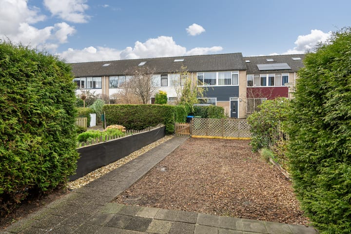 Foto 4 van Wilgenroosje 45