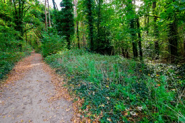 Foto 2 van Calfven 102