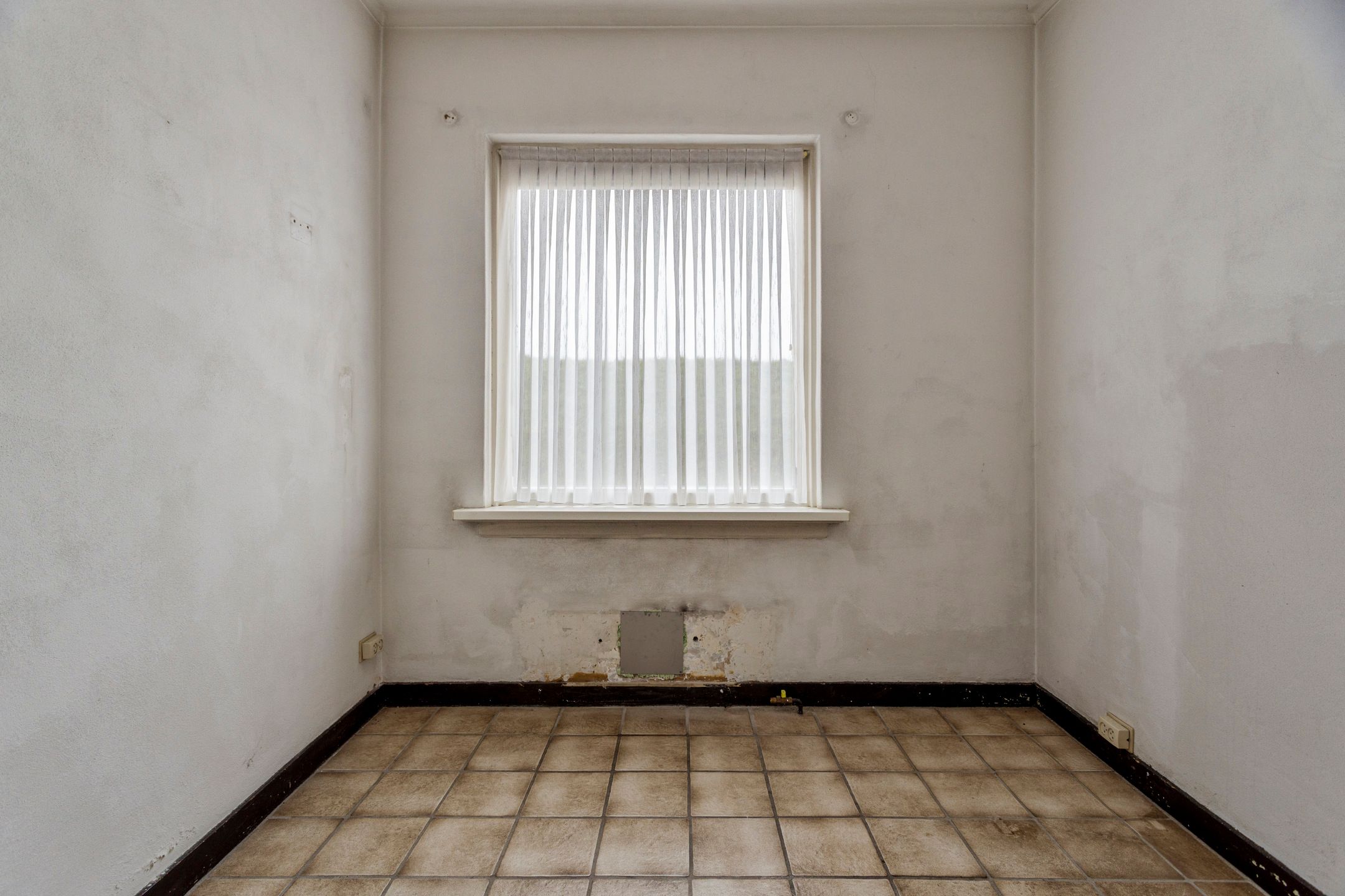 Foto 9 van Wieldijk 4