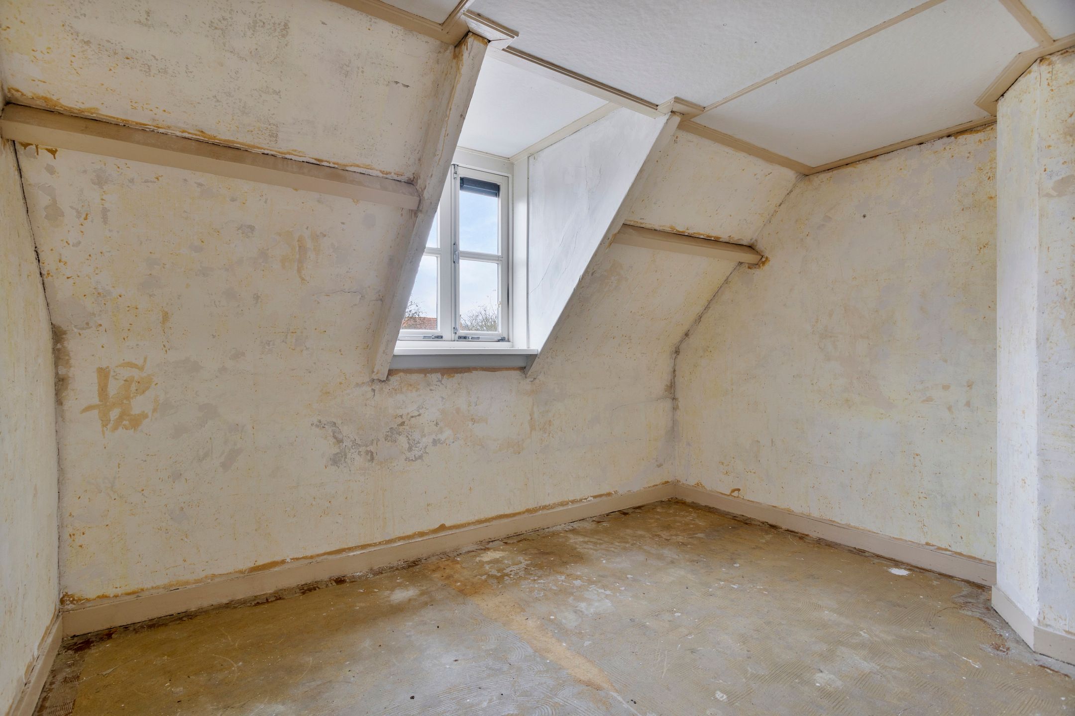 Foto 12 van Wieldijk 4