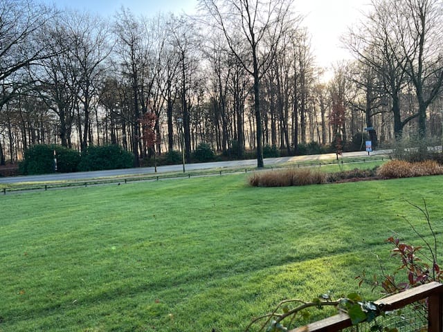 Photo 27 of Soestdijkseweg Zuid 87-A15