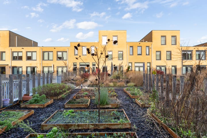 Foto 32 van Bentheimerstraat 8