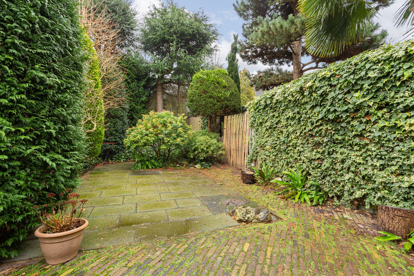 Photo 10 of Marsburg 10