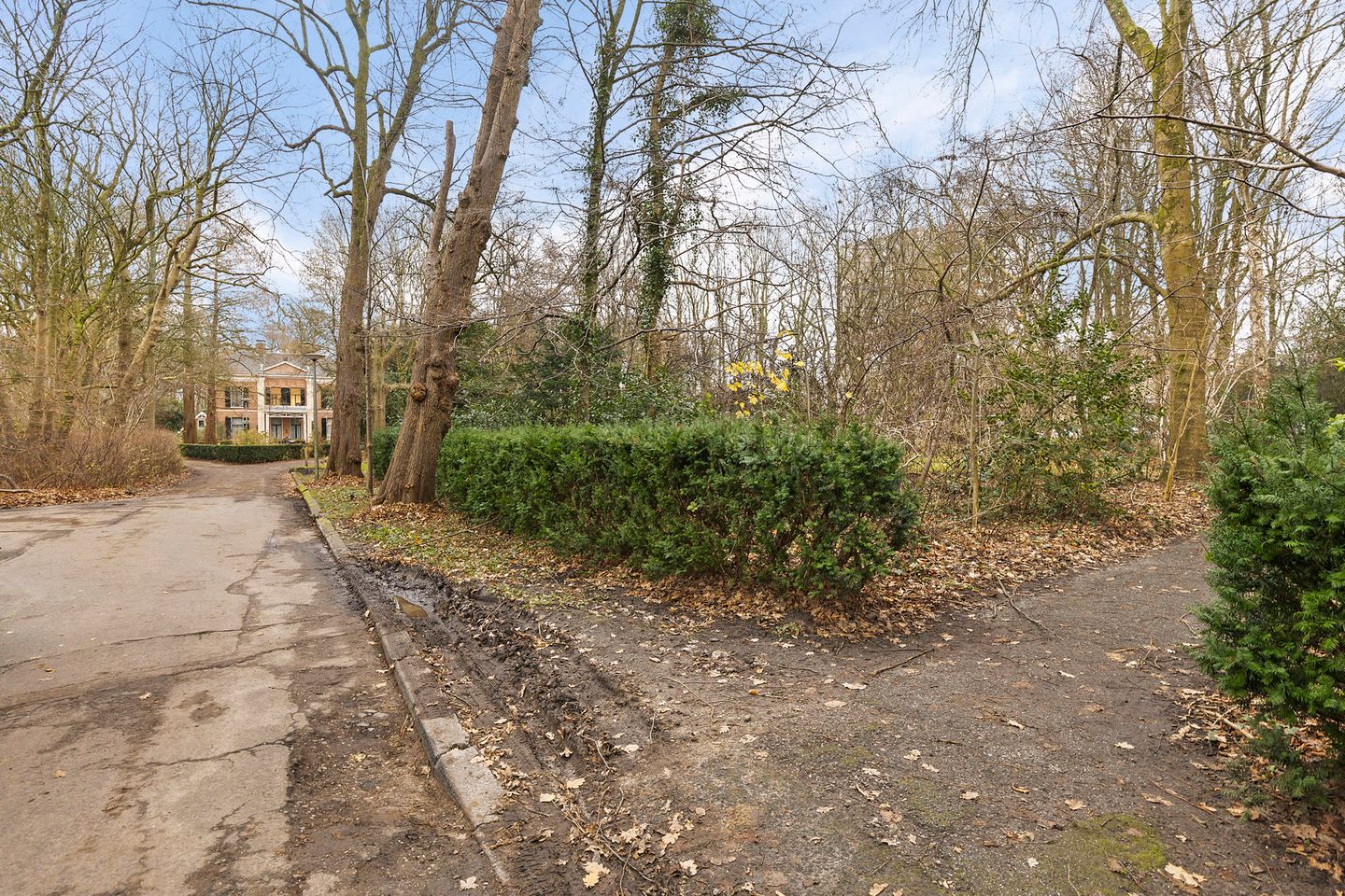 Foto 34 van Helper Brink 45-B