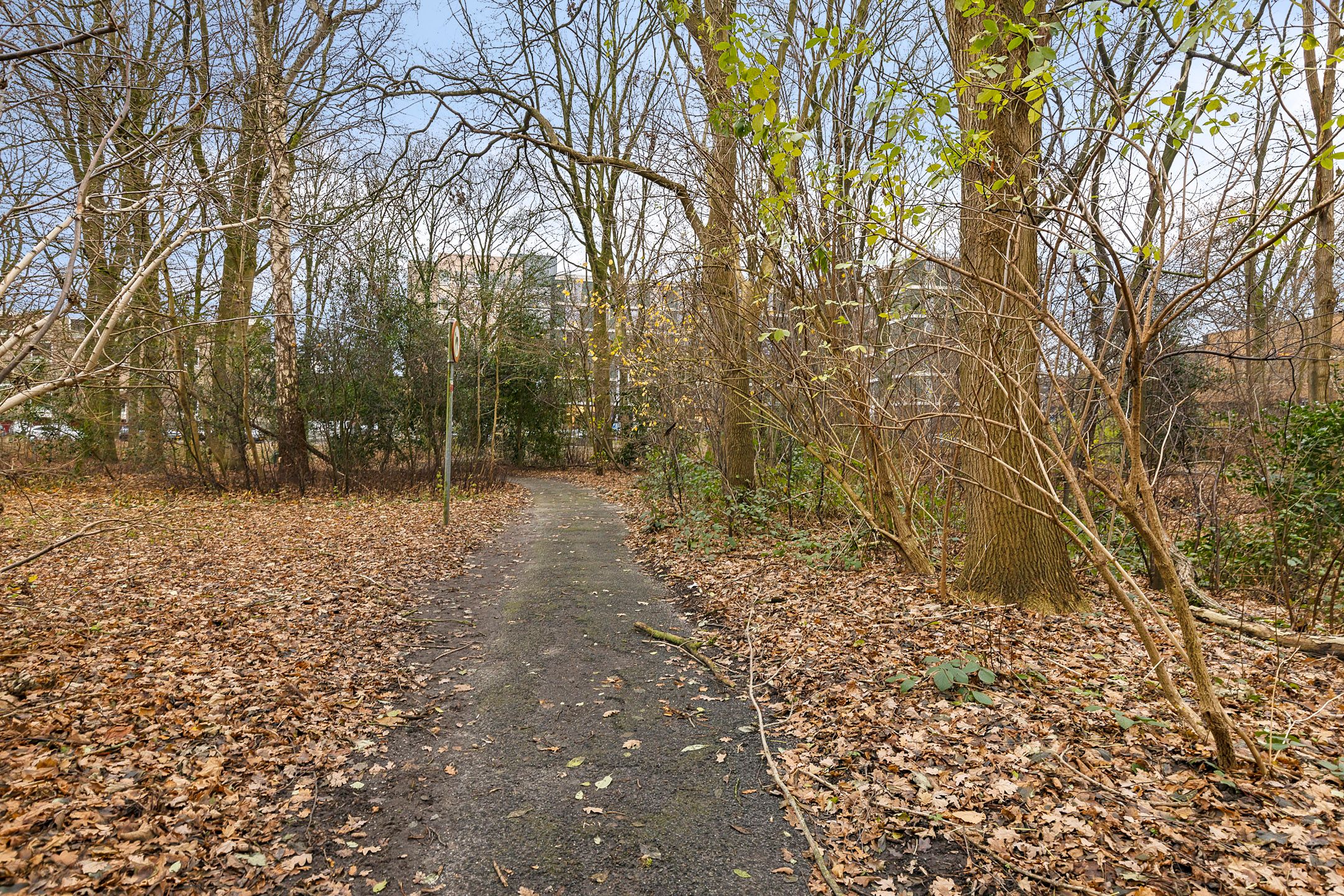 Foto 36 van Helper Brink 45-B