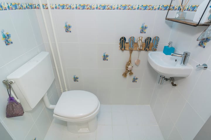 Foto 14 van Diamantdijk 265