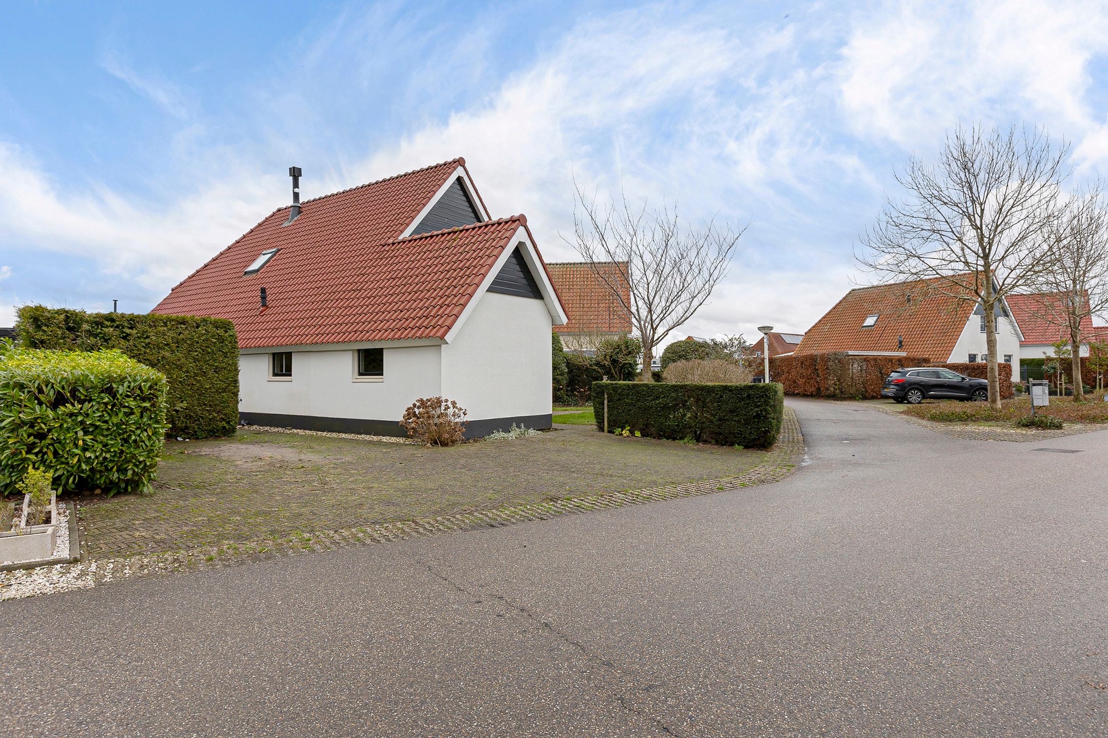 Foto 3 van Watervogel 58