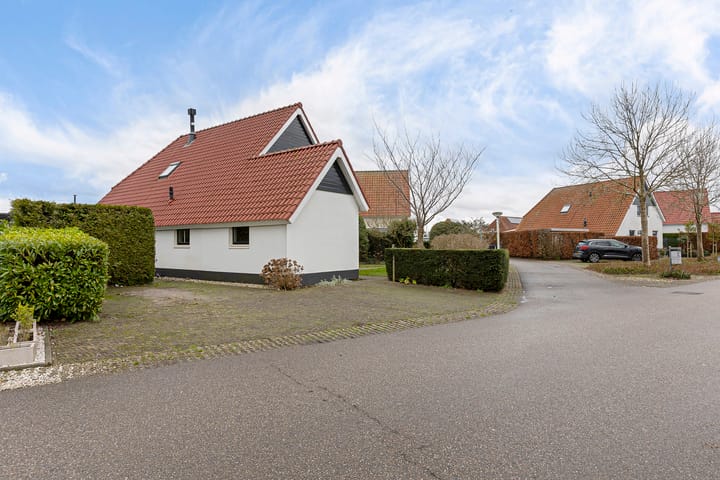 Foto 3 van Watervogel 58