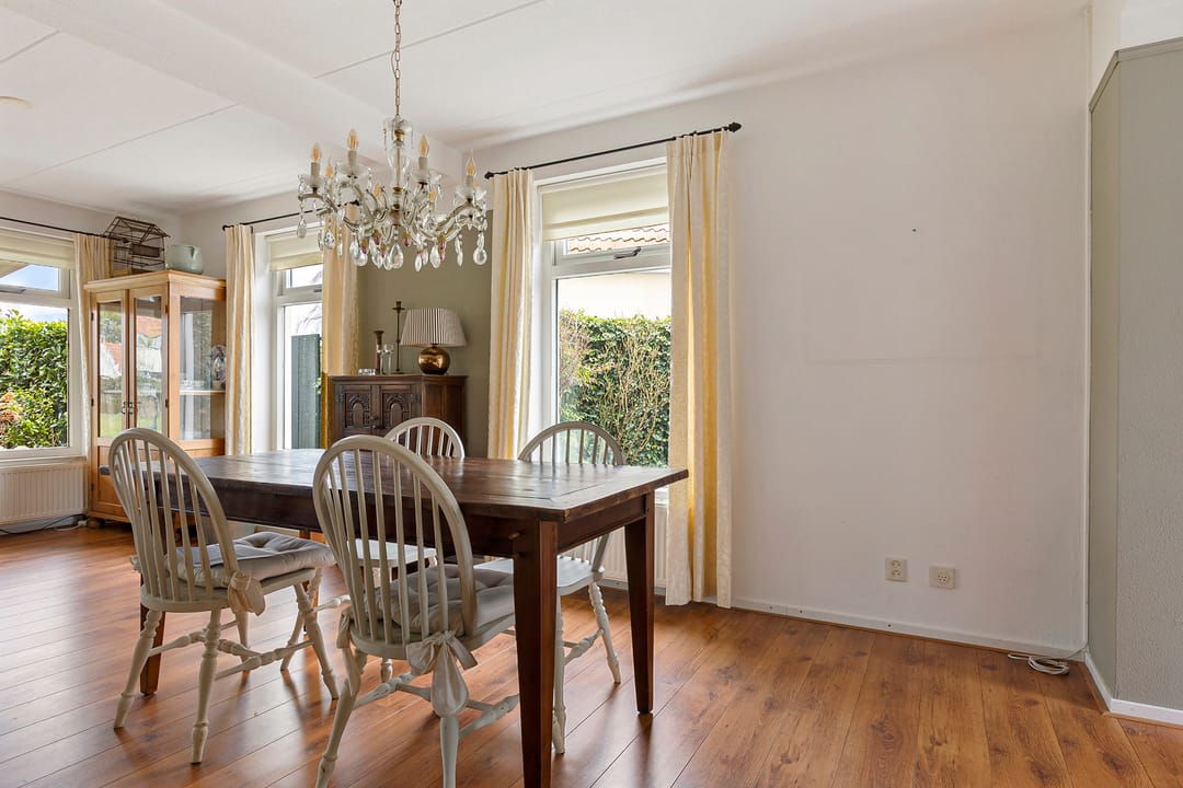 Foto 8 van Watervogel 58