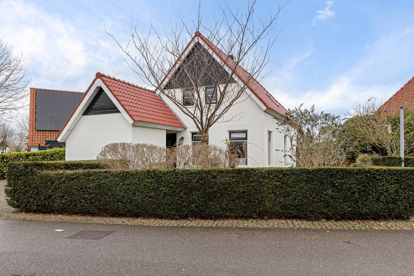 Foto 1 van Watervogel 58