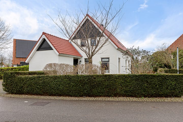 Foto 1 van Watervogel 58