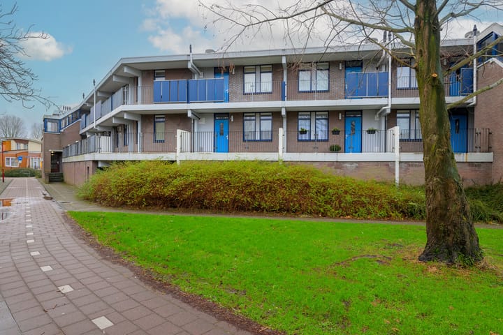 Foto 2 van Peter Zuidhove 87