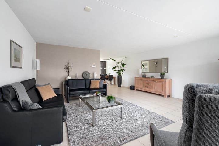 Foto 2 van Struisvaren 1