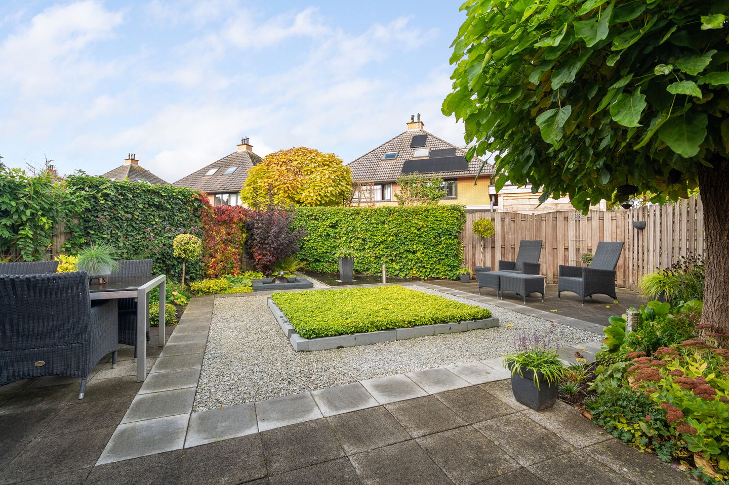 Foto 4 van Struisvaren 1