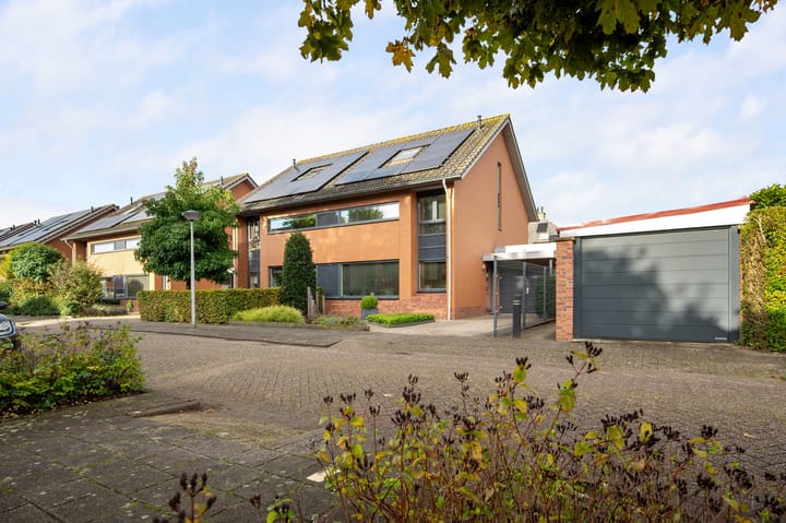 Foto 5 van Struisvaren 1