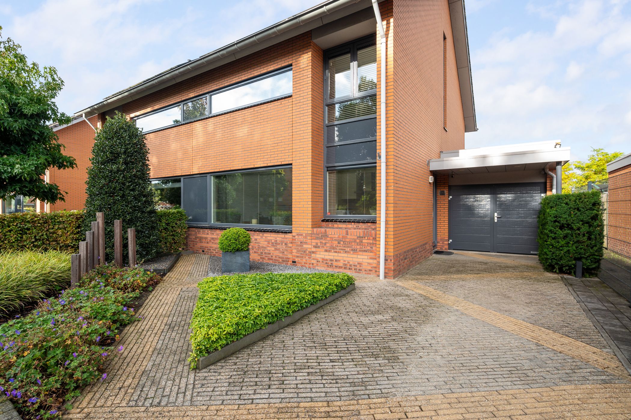 Foto 6 van Struisvaren 1