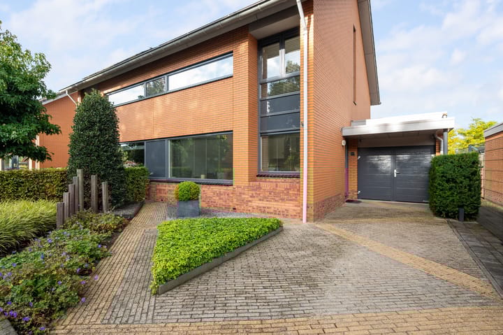 Foto 6 van Struisvaren 1