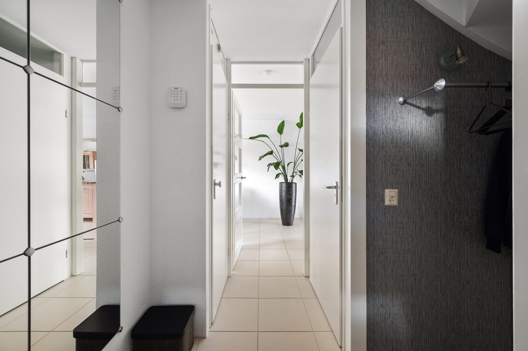 Foto 7 van Struisvaren 1