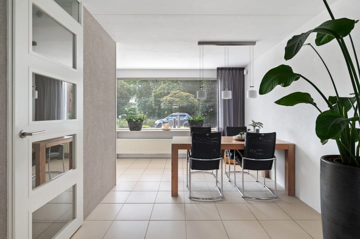 Foto 9 van Struisvaren 1