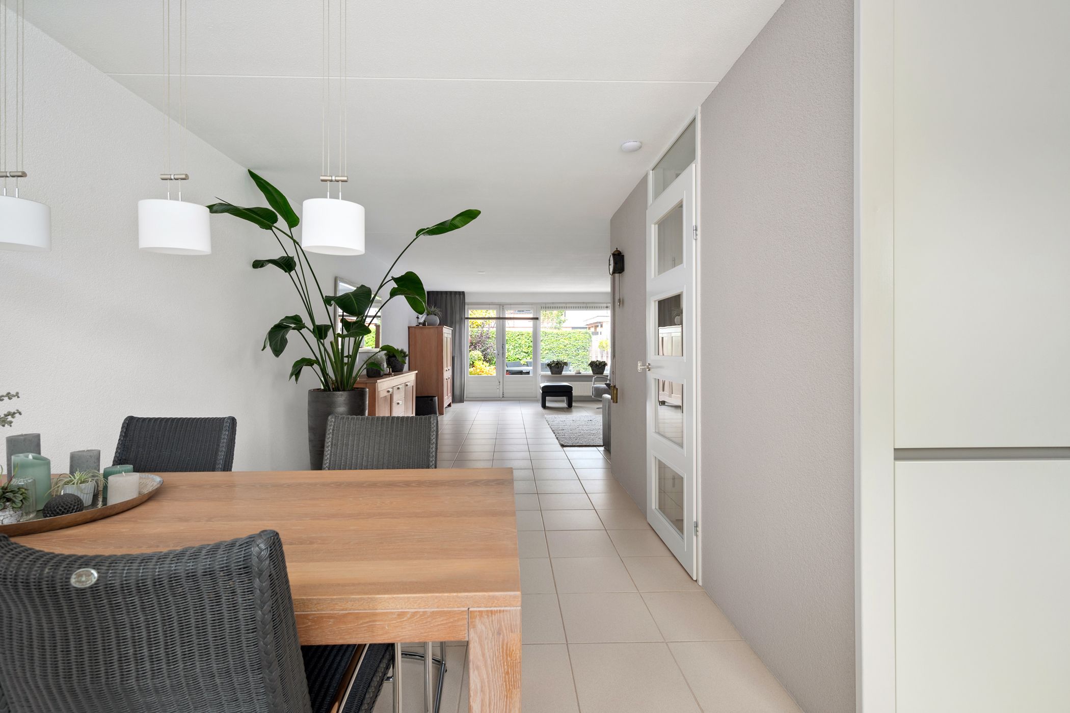 Foto 15 van Struisvaren 1