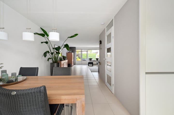 Foto 15 van Struisvaren 1